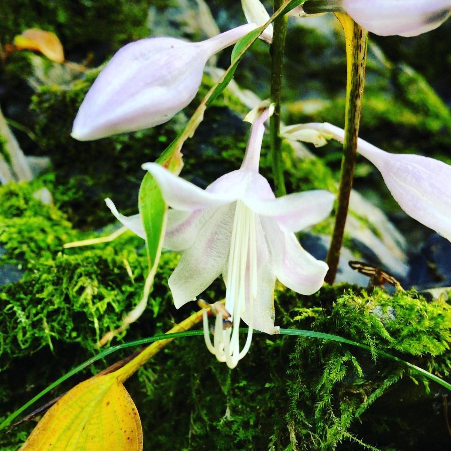 Otsu Nature Garden Akiruno Zewnętrze zdjęcie
