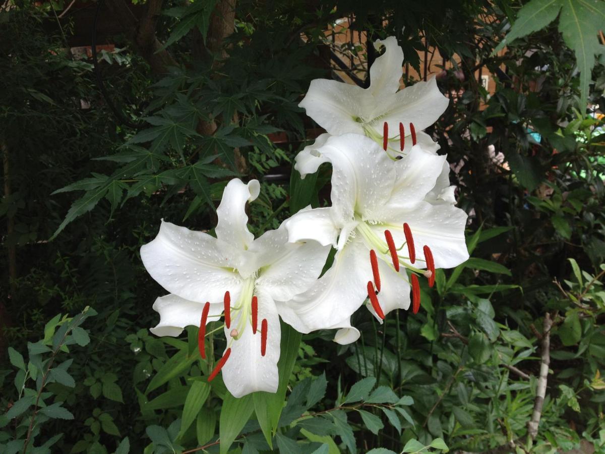 Otsu Nature Garden Akiruno Zewnętrze zdjęcie