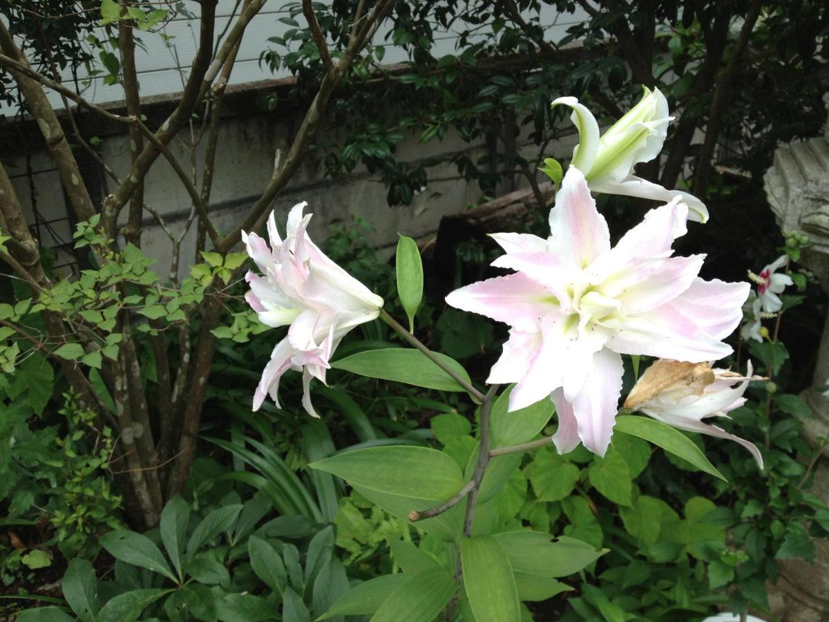 Otsu Nature Garden Akiruno Zewnętrze zdjęcie