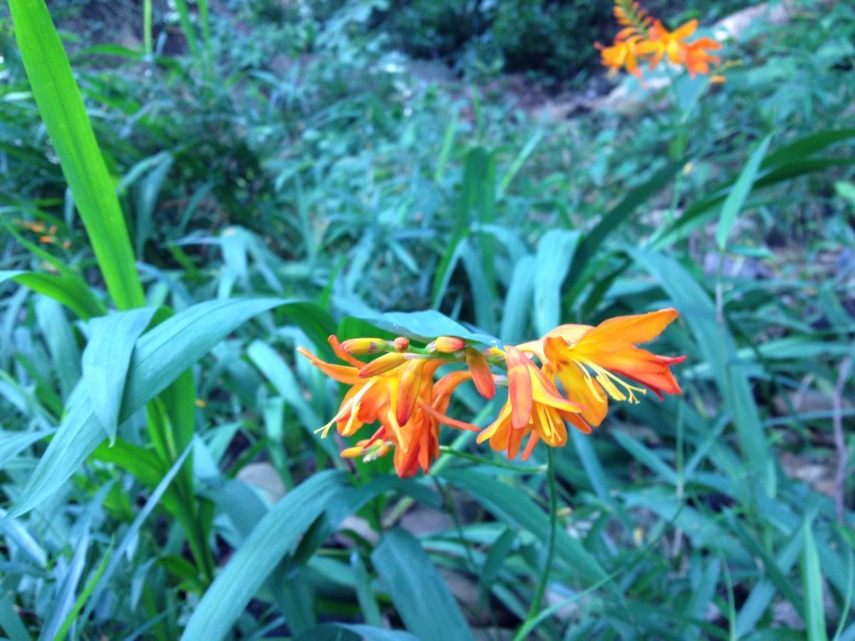 Otsu Nature Garden Akiruno Zewnętrze zdjęcie