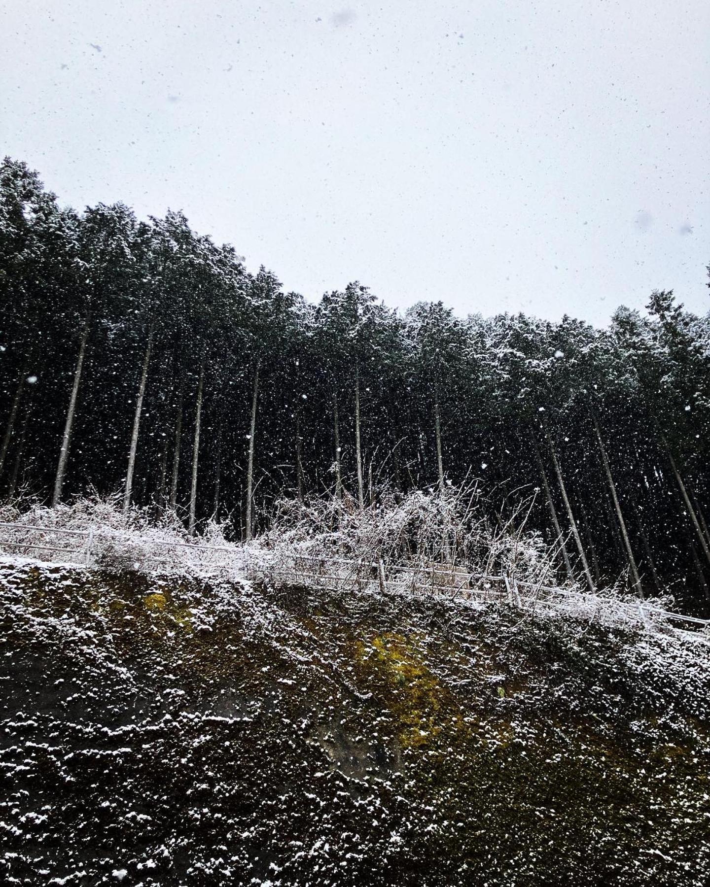 Otsu Nature Garden Akiruno Zewnętrze zdjęcie