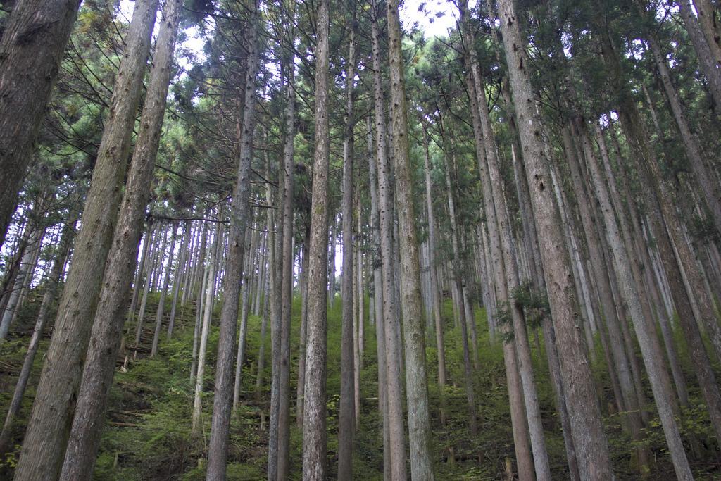 Otsu Nature Garden Akiruno Zewnętrze zdjęcie