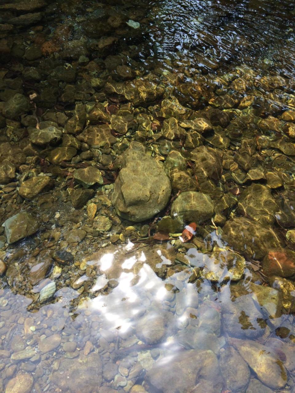 Otsu Nature Garden Akiruno Zewnętrze zdjęcie
